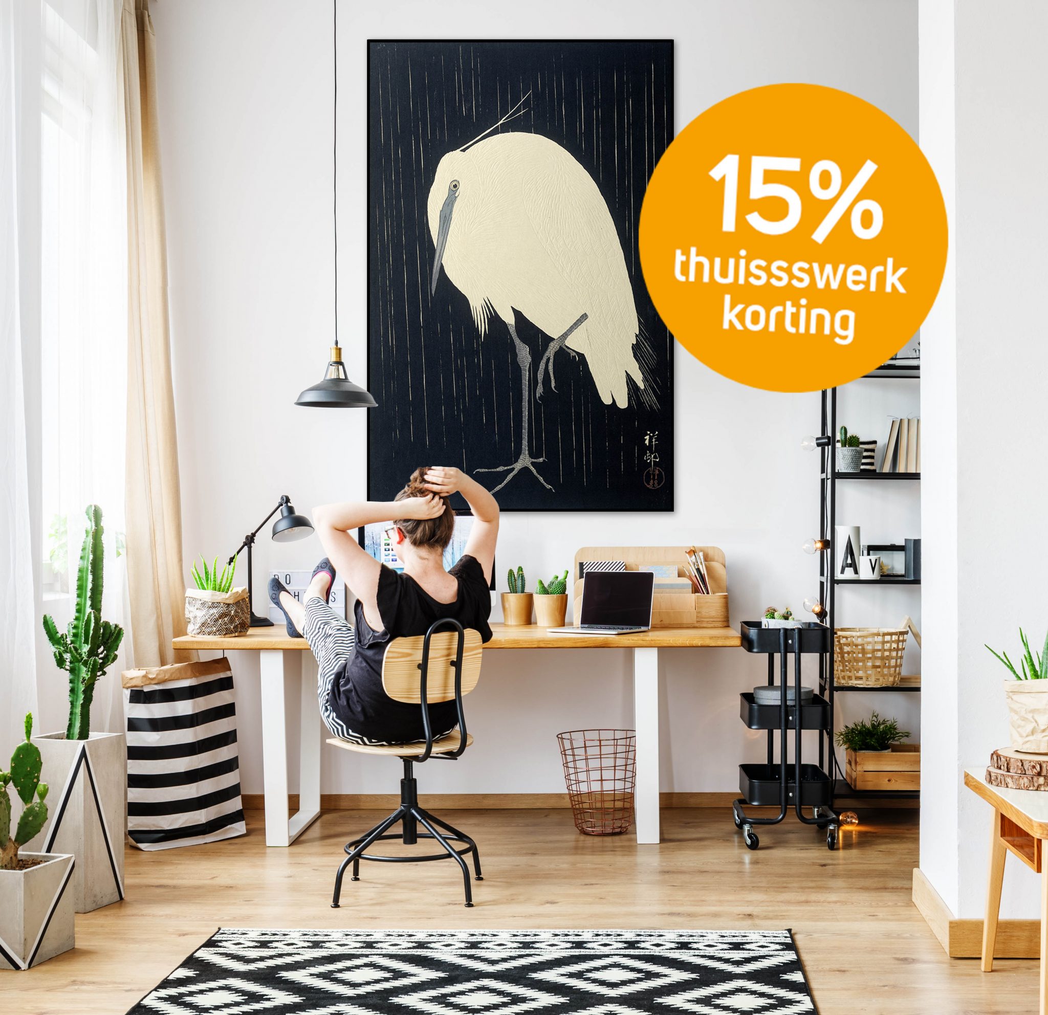 Young freelance woman working remotely at designer home in cozy white office room with pendant lamps, white wall, big window, comfy couch and aloe plant standing on wooden retro table